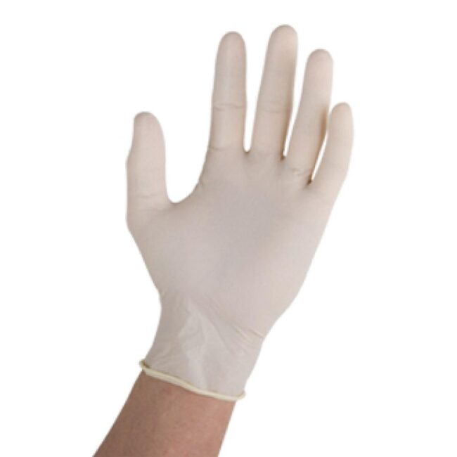 Guantes latex 10 und.