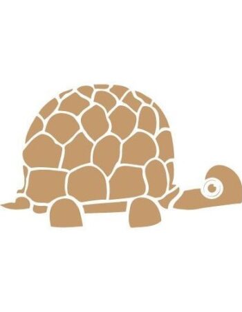 Plantilla infantil tortuga