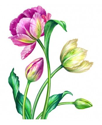 Vinilo floral 1000
