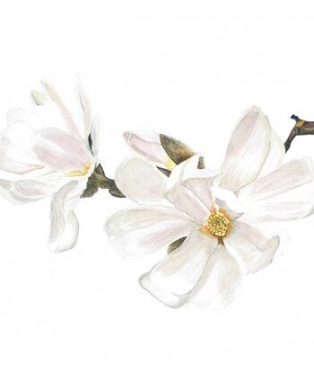 Vinilo floral 1005