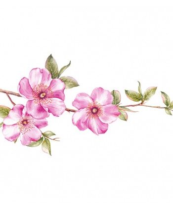 Vinilo floral 1007