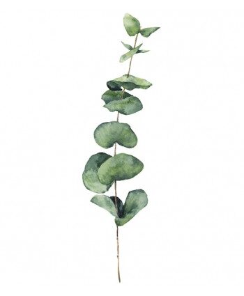 Vinilo floral 1017