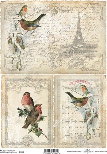 Papel de arroz R0184