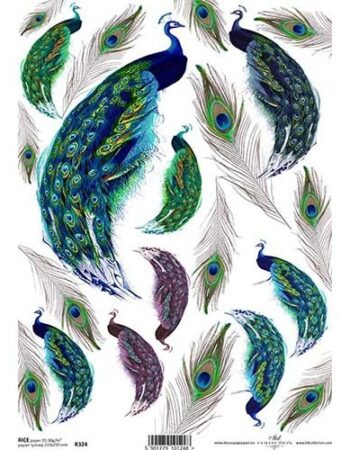 Papel de arroz R0324