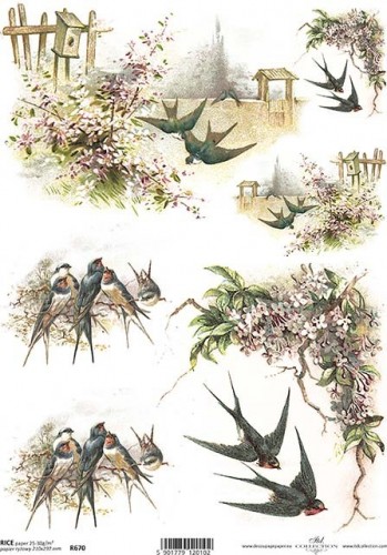 Papel de arroz R0670
