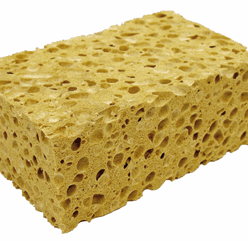 Esponja vegetal