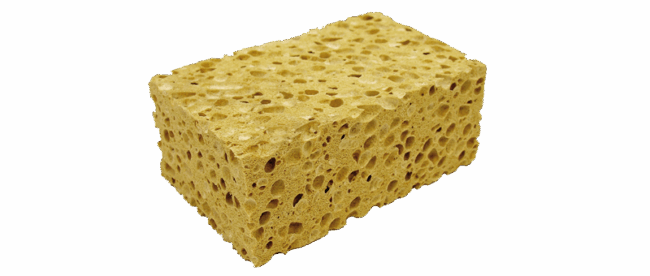 Esponja vegetal