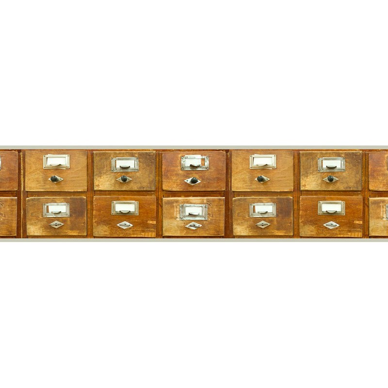 CEV011