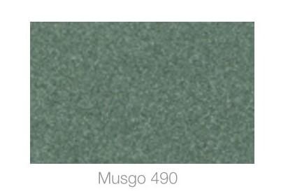 Musgo