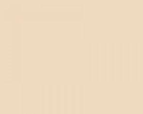 Ral 1015 Brillo