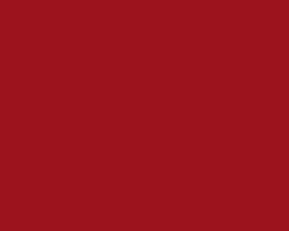 Ral 3003 brillo