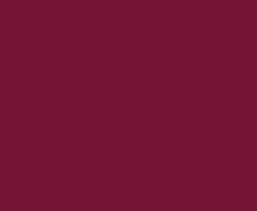 Ral 4004 brillo