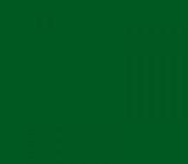 Ral 6002 brillo