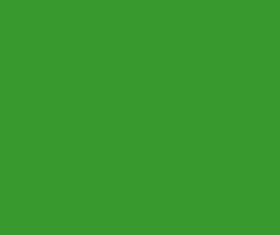 Ral 6018 Brillo