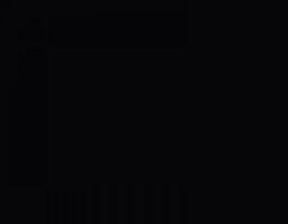 Ral 9005 Brillo
