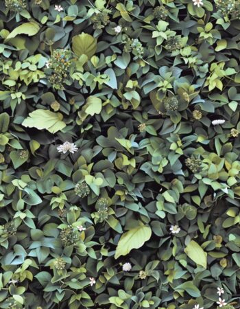 Papel pintado Horizon